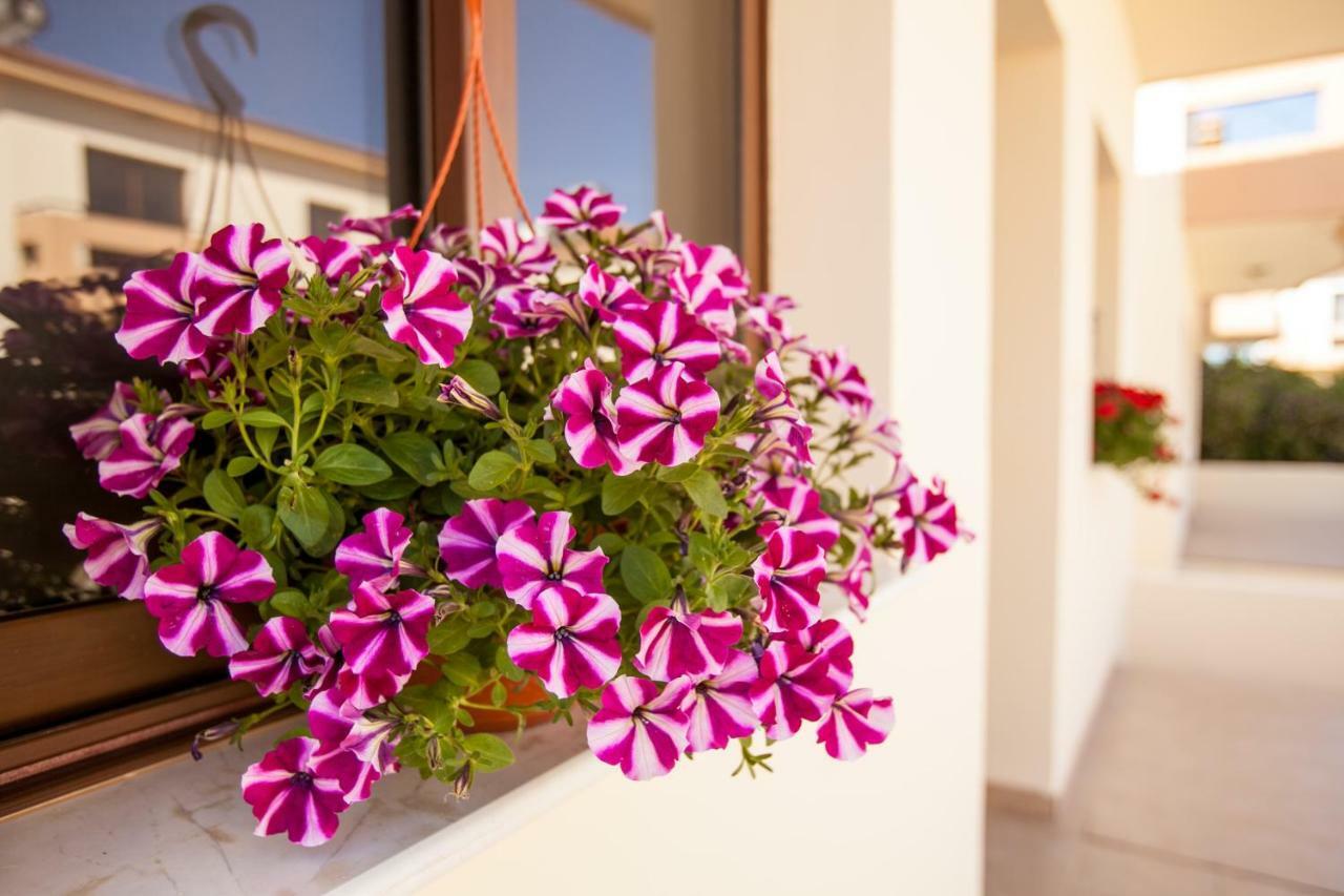 Dafni Villa 19 Paralimni Exterior photo